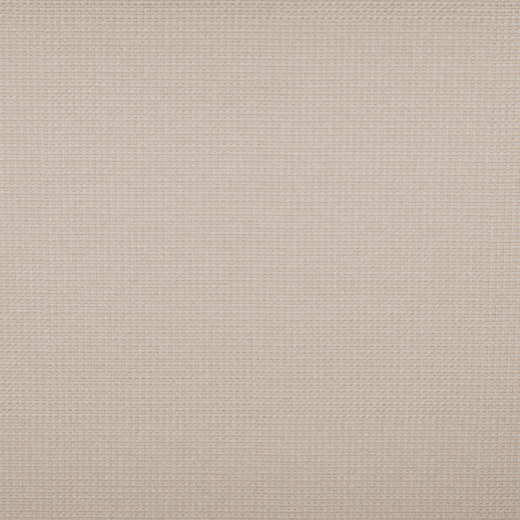 Michelangelo-Parchment